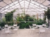 Tropenhaus 1